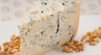 Come conservare il formaggio nel modo corretto per evitare la formazione di muffa