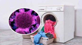 Lavare a 60 o 90°C? Non Serve! Questa è la temperatura giusta per igienizzare il bucato | Addio acari e batteri